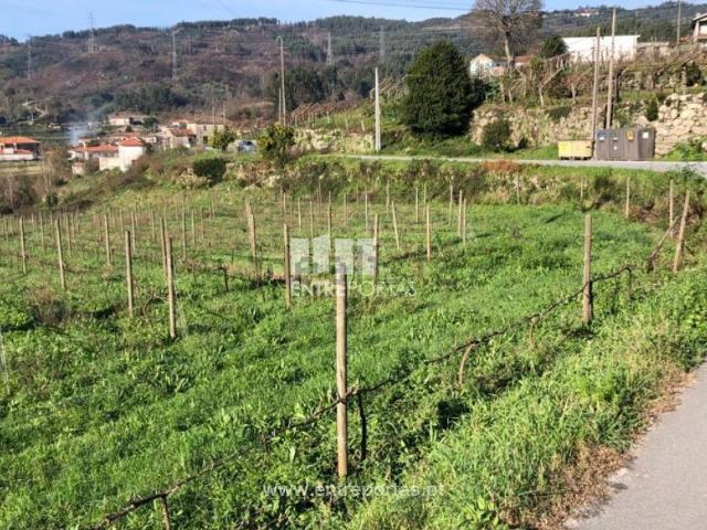 Terreno, Gove