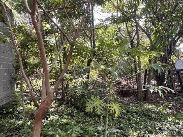 Terreno Gpe Victoria Villaflores