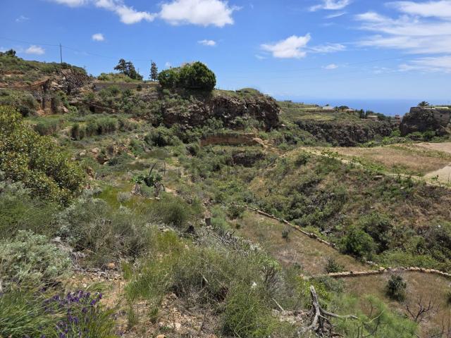 Terreno, Granadilla de Abona