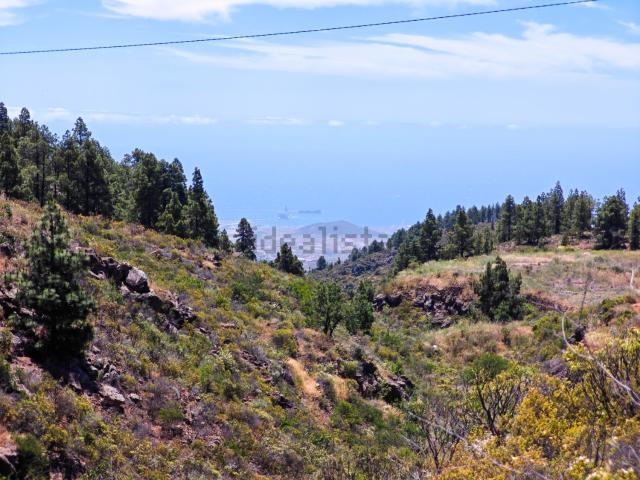 Terreno, Granadilla de Abona