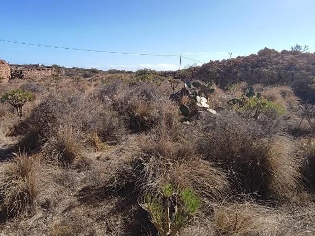 Terreno, Granadilla de Abona