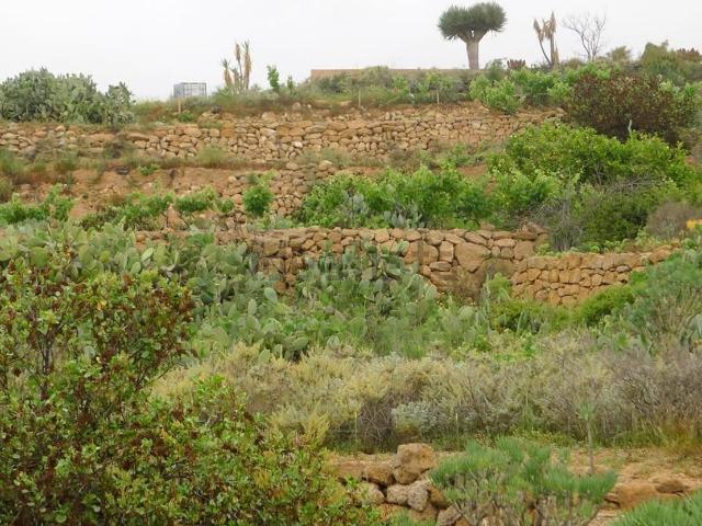 Terreno, Granadilla de Abona