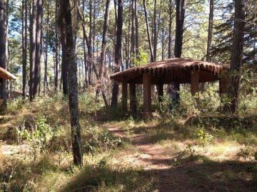 Terreno grande con peque?a caba?a en venta en El Estuche Tapalpa Jalisco
