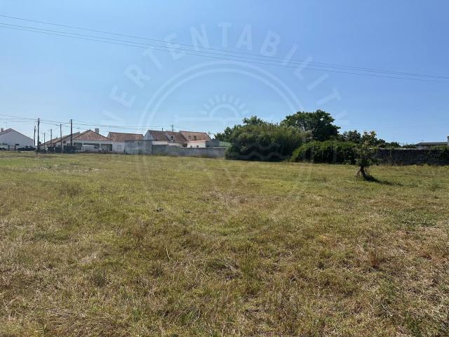 Terreno, Grândola e Santa Margarida da Serra, Grândola | BPI Expresso Imobiliário