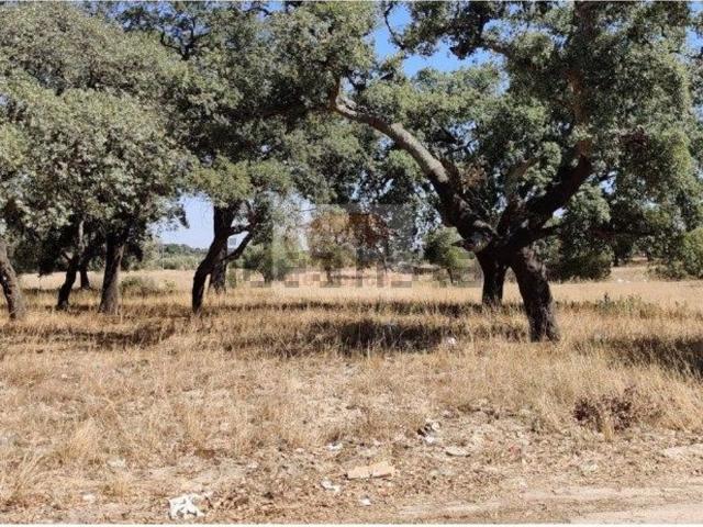 Terreno, Grândola e Santa Margarida da Serra