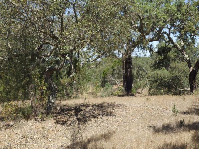 Terreno, Grândola e Santa Margarida da Serra