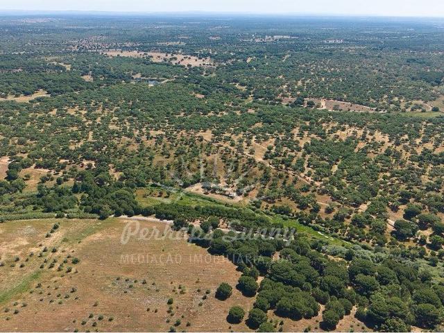 Terreno, Grândola e Santa Margarida da Serra