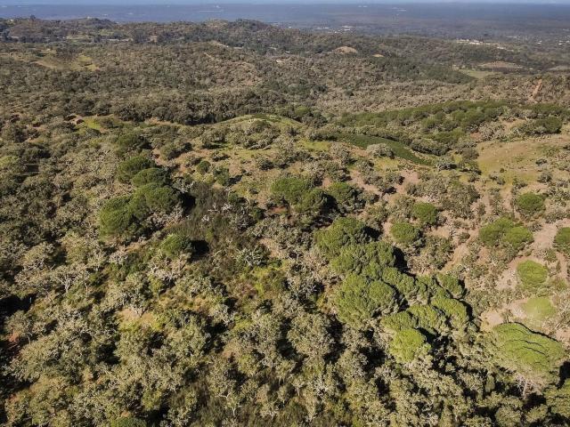 Terreno, Grândola e Santa Margarida da Serra