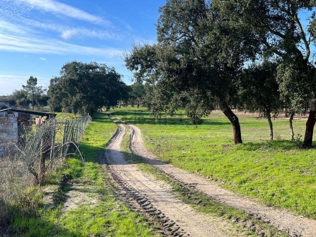 Terreno, Grândola e Santa Margarida da Serra