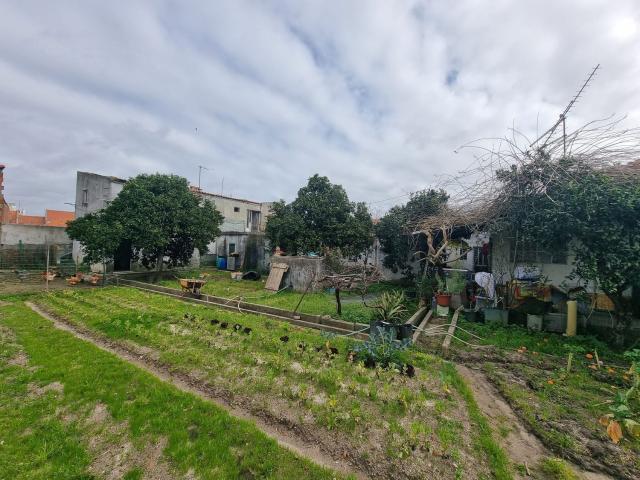 Terreno, Grândola e Santa Margarida da Serra