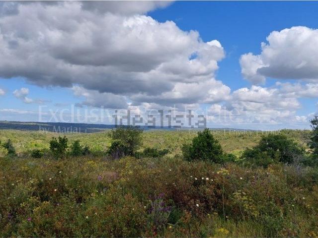Terreno, Grândola e Santa Margarida da Serra