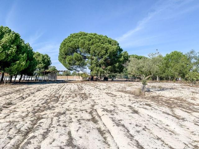 Terreno, Grândola e Santa Margarida da Serra