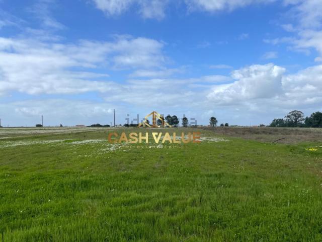 Terreno, Granho