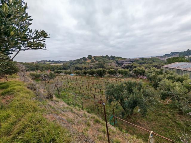 Terreno, Granollers
