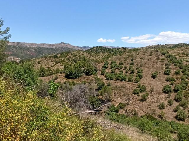 Terreno, Gratallops