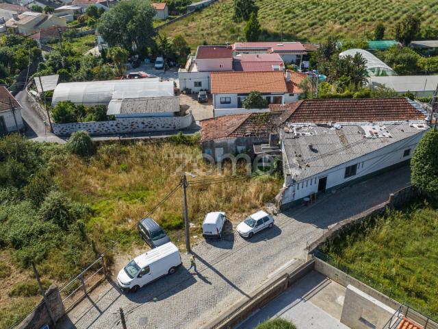Terreno, Grijó