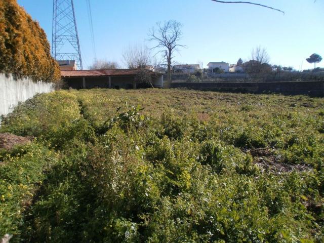 Terreno, Grijó