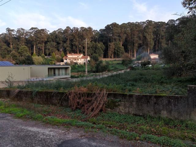 Terreno, Grijó