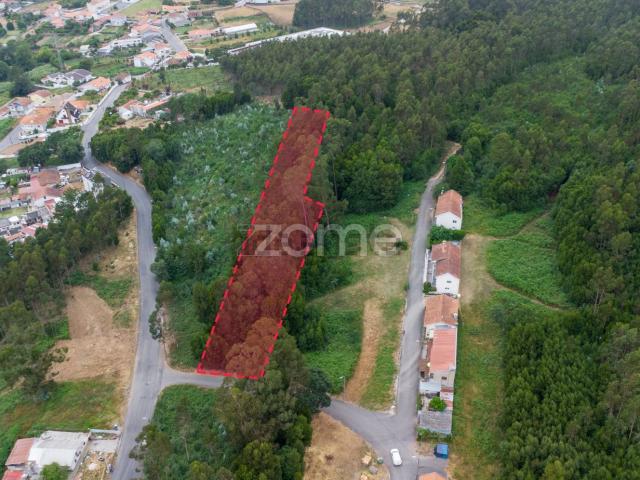 Terreno, Grijó