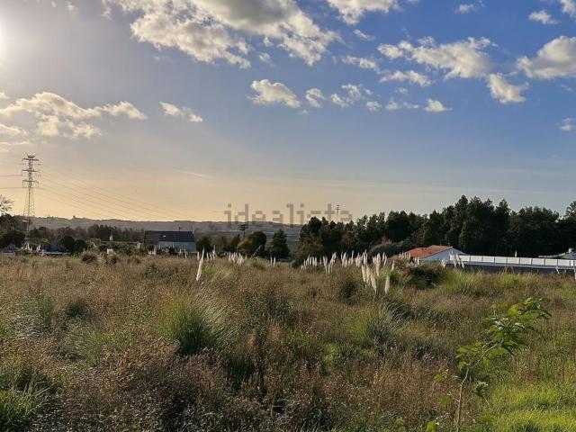 Terreno, Grijó