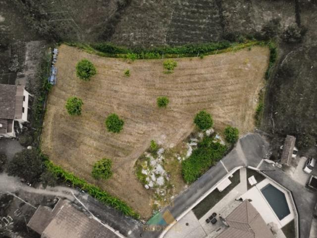 Terreno Grovelas, Ponte da Barca