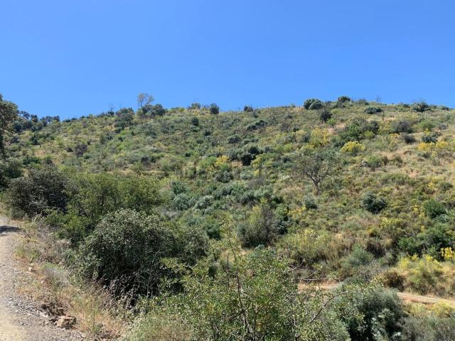 Terreno, Huerta Nueva Jardín de Málaga, Málaga