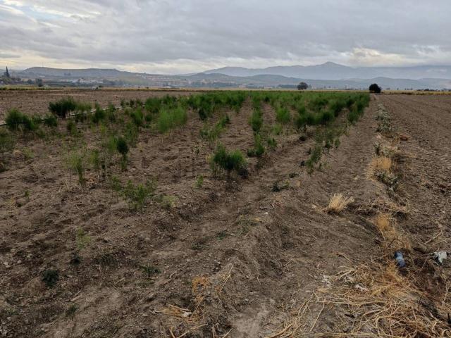 Terreno, Huétor Tajar