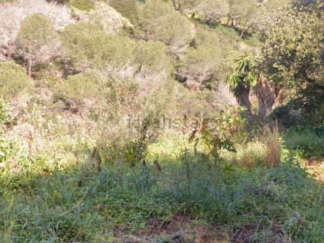 Terreno, Hacienda Elviria, Marbella