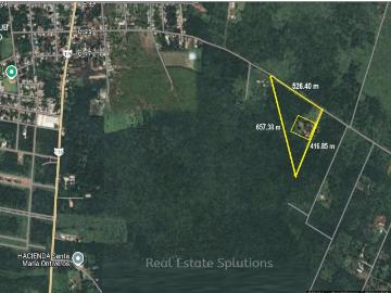 Terreno Hacienda en Venta, 9 Has, Chicxulub, Ixil, Yucatán M