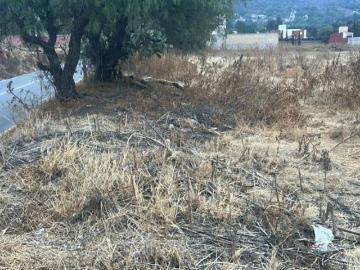 Terreno habitacional en venta en La Purificación Tepetitla, Texcoco, México