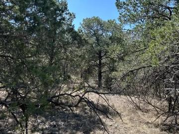 Terreno Habitacional en Coahuila: Ideal para Inversión en Arteaga