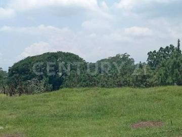 Terreno Habitacional o Comercial en venta en Fracc. San Rafael Cuauhtémoc, Col