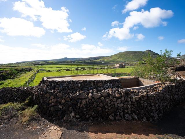 Terreno, Haria