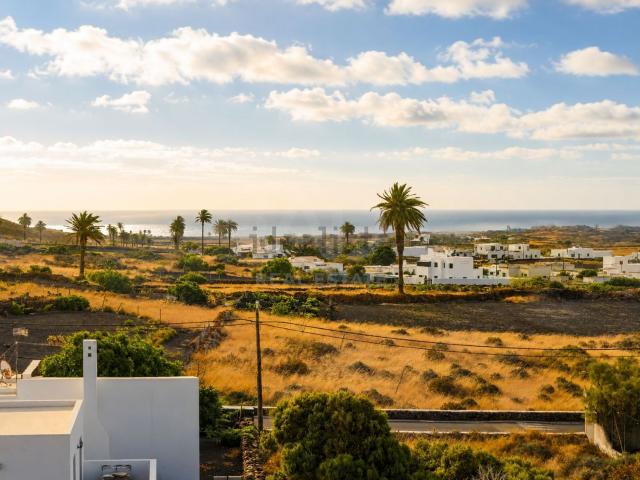 Terreno, Haria