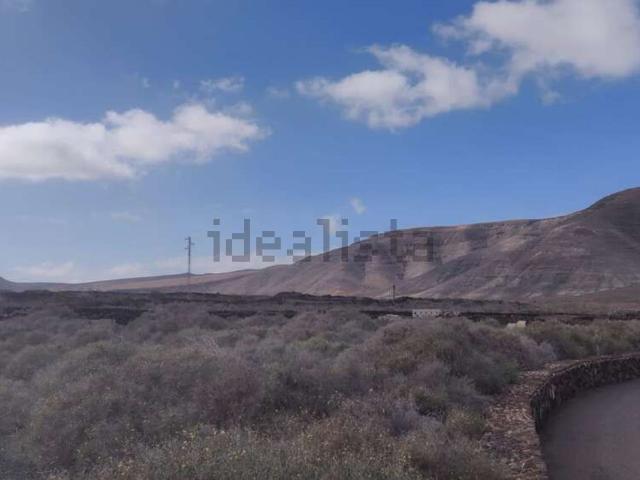 Terreno, Haria