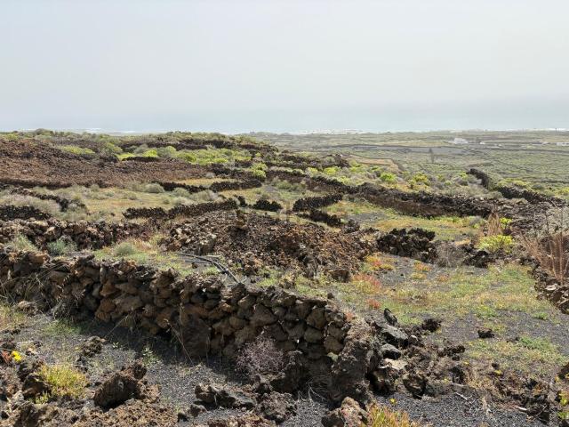 Terreno, Haria