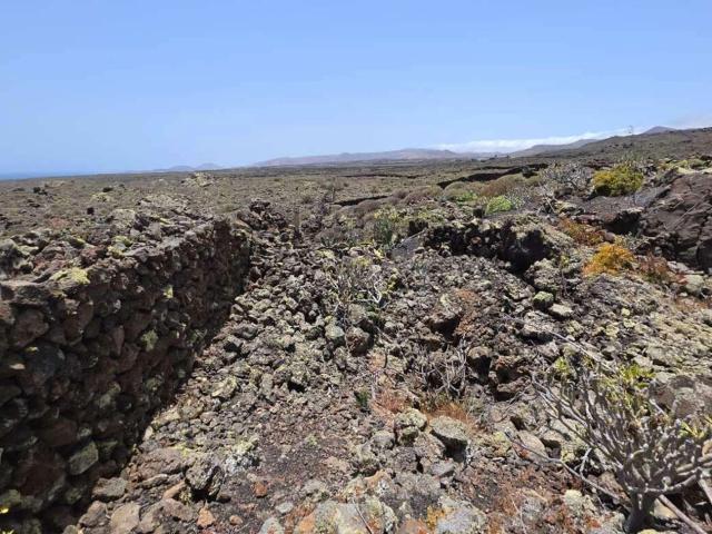 Terreno, Haria