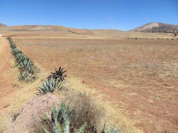 TERRENO HERMOSO EN MARAS, CUSCO, VALLE SAGRADO 5 minutos Aeropuerto Chincheros