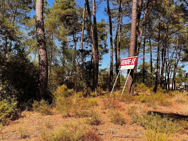 Terreno, Herdade da Aroeira, Charneca da Caparica e Sobreda