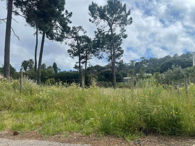 Terreno, Herdade da Aroeira, Charneca da Caparica e Sobreda