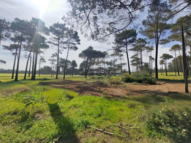 Terreno, Herdade da Aroeira, Charneca da Caparica e Sobreda