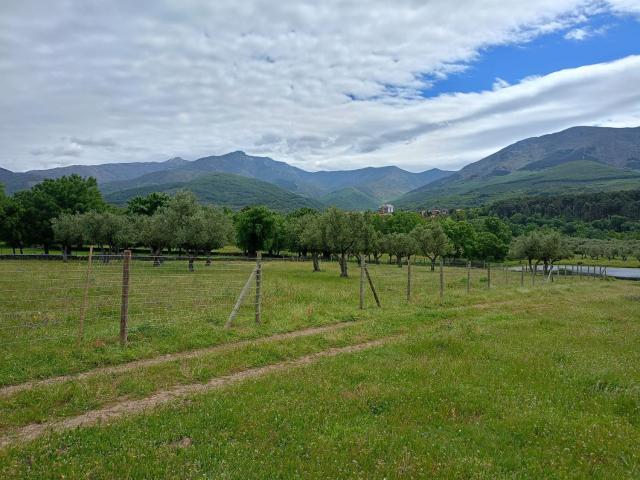 Terreno, Hervas