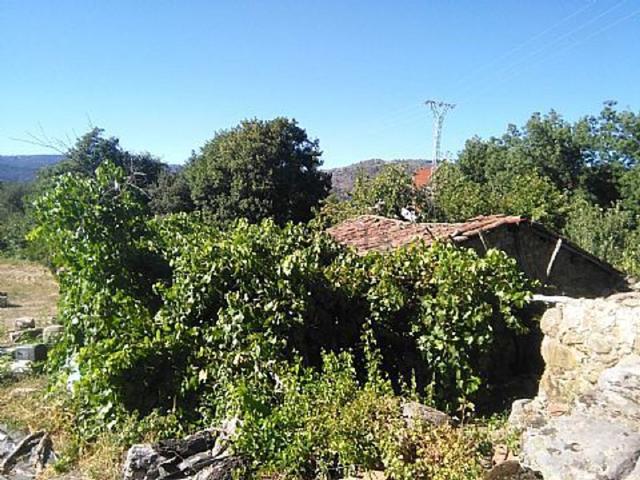 Terreno, Hervas