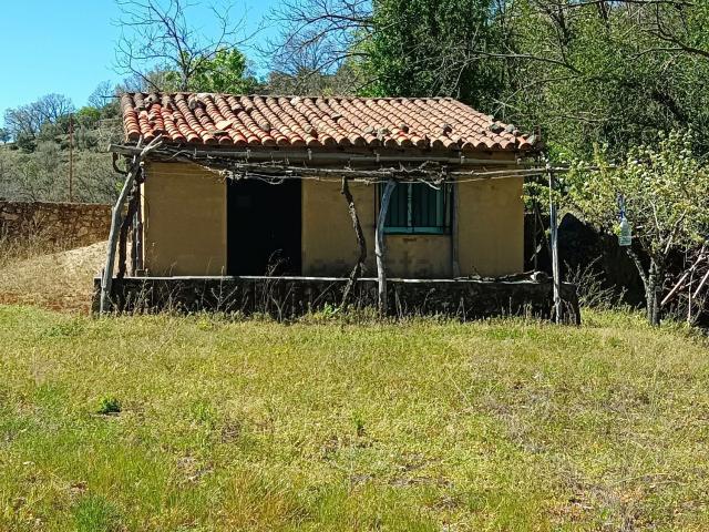 Terreno, Hervas