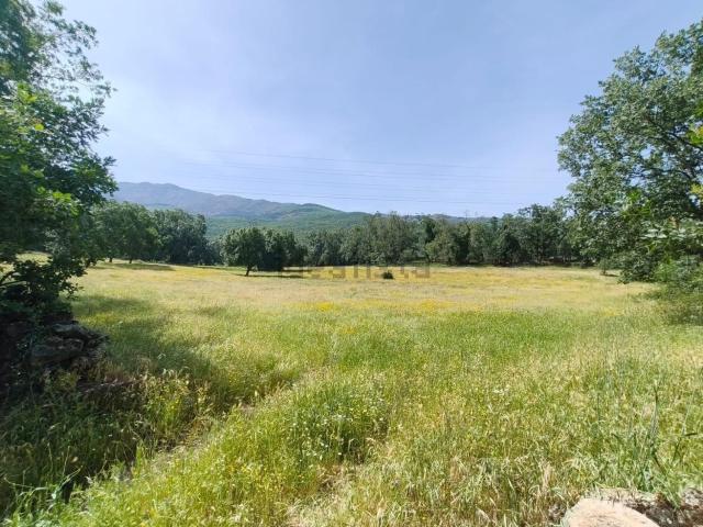 Terreno, Hervas