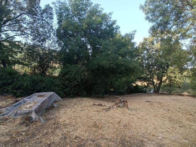 Terreno, Hervas