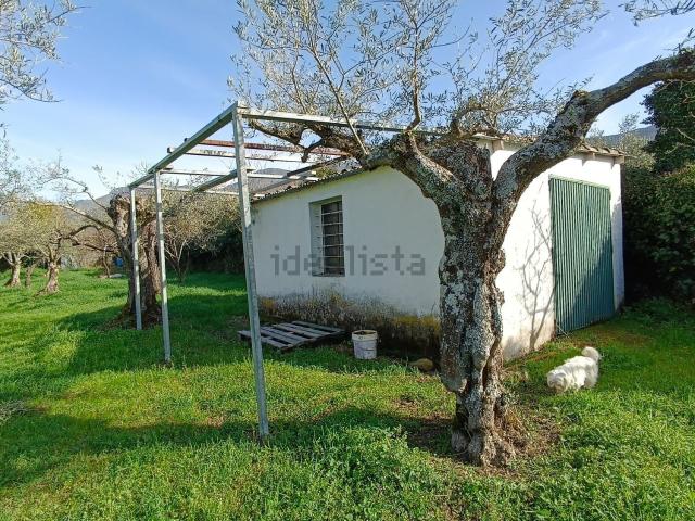 Terreno, Hervas