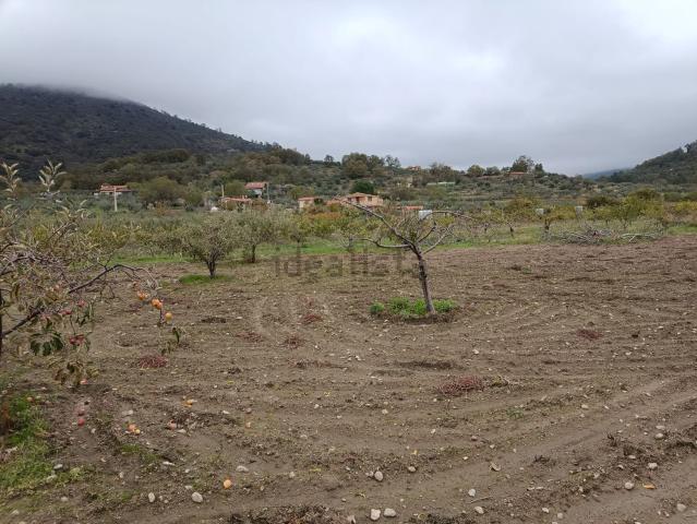 Terreno, Hervas