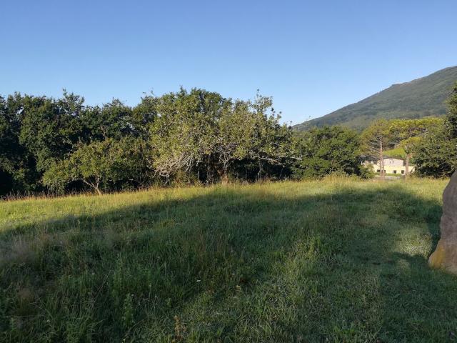 Terreno, Hondarribia