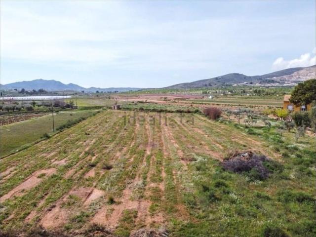 Terreno, Hondón de las Nieves